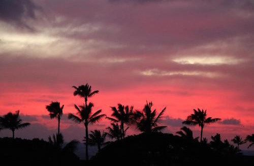 Poipu Apartment | Kiahuna Plantation 96, Poipu Beach, Club Membership, Part Ocean View, Kids Toys