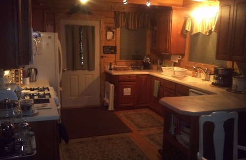 Chestertown Cabin | Lakefront 5-bedroom+loft cabin w/WiFi, AC near Chestertown in Adirondack Park.