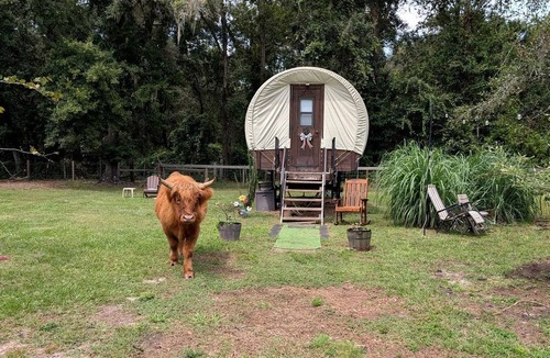 Putnam Hall Cabin | Luxury Highland Cow Glamping in Cozy Covered Wagon with Peaceful Farm Retreat in Melrose, Florida