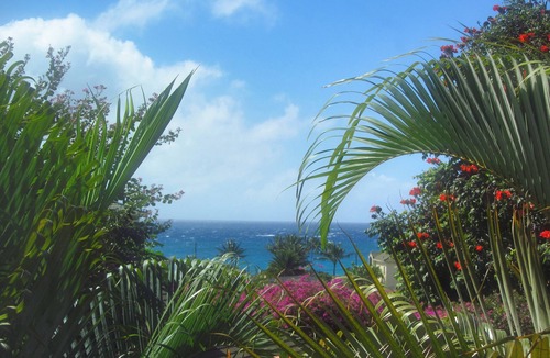 Poipu Condo | LUXURY VILLA, 3 Private Suites, Pool/Spa, Gym, Central A/C, Beach