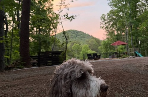 Columbus RV Rental | Mountain view - Marvelous campground in Columbus perfect for your next adventure