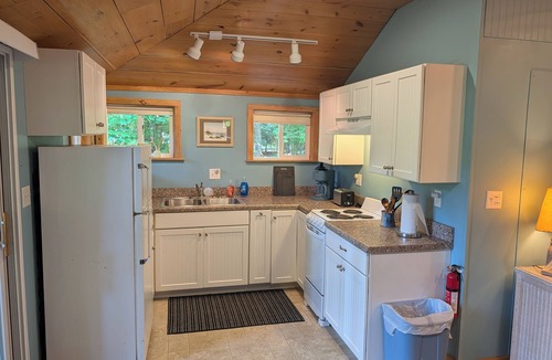 Arcadia Cabin | NEW! Jack-in-the-Pulpit - Cute and Cozy Cabin with Woodsy Nature Vibes! Includes Firepit Area, Grill, and Window A/C Unit! Perfect Getaway Location for Family and Friends!