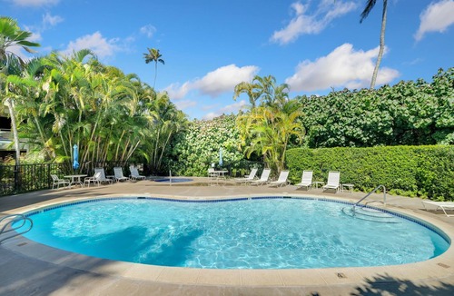 Wailua Condo | New Remodeled Kauai Escape! 1 bed 1 bath condo in charming Kapaʻa with WiFi, AC
