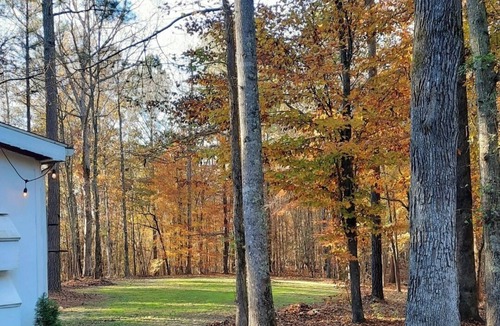 Inman Cabin | New Tiny House coming to Dirt Road Farms, pet-friendly & availble April 2026