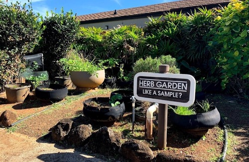 Kapaa Condo | Pono Kai Resort- 1 Bedroom Garden View