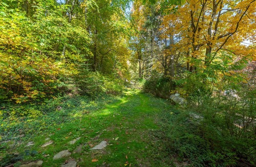 Spruce Pine Cabin | Power & Water! WiFi Soon! Hot Tub + Fireplace, Peaceful & 5 mins to the BRP!
