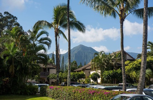 Princeville Apartment | Princeville Sands Studio with Pool and Hot Tub (137-B)