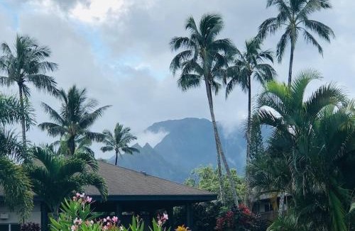 Princeville Apartment | Princeville Townhouse Apt - Views, Pool, Near Hanalei!