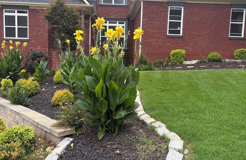 Braselton House | Rooms UPSTAIRS. Entire house is for your crew! 3 BR, 2 BA sleeps 7 + much more.