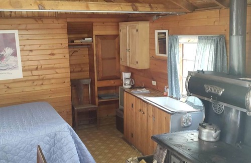 Bellvue Cabin | Rustic Glamping Cabin near Poudre River, Perfect for a Weekend of Fishing and Watching Wildlife
