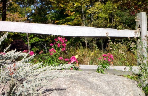 Stony Creek Cottage | Secluded Cottage Rental in the Woods in Stony Creek, New York