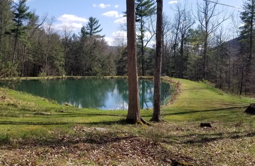 Wellsboro Cabin | Secluded mountain cabin on 42 wooded acres/pond/game room/Pa. Canyon/rail trail