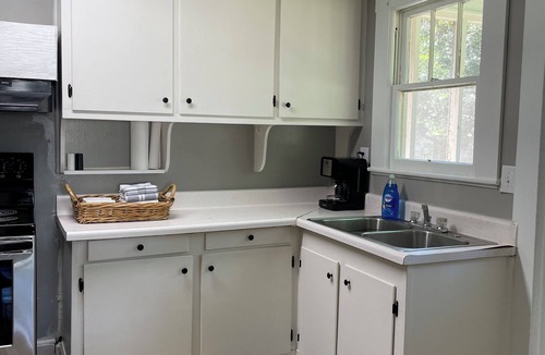 Douglas House | The Redbird: 3 Bedroom, Pet-Friendly, Downtown, Fast WiFi, Porch