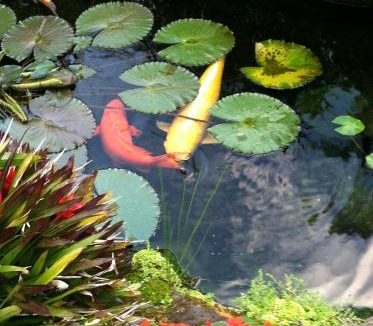 Wailua Homesteads House | The Secret Garden Room