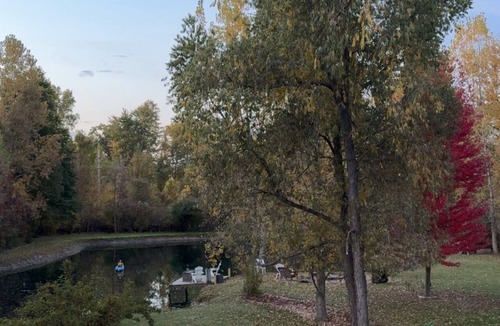 Port Austin Cabin | Tranquil 4-bdm log cabin in Port Austin, Private with a fishing pond & Hot tub