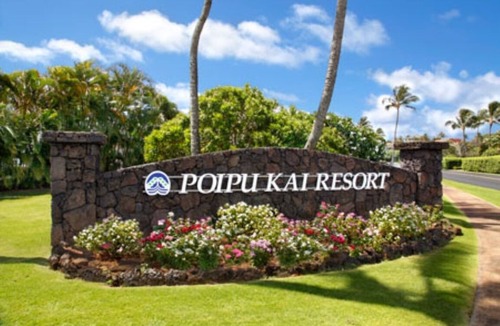 Bayview Condo | Tropical Rendezvous Suite - Luxury Studio in tropical gardens with koi ponds.