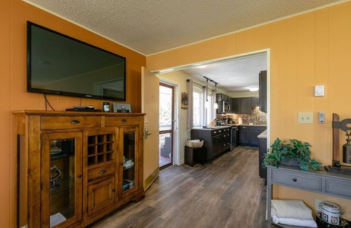 East End - Valley Street Ski Chalet | Upper Berne Chalet 4 Mins to DT AVL, 10 Mins to Blue Ridge Parkway, Dog Friendly