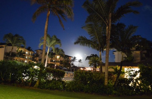 Wailua Condo | Waipouli Beach Resort Exquisite Ground Floor Pool View