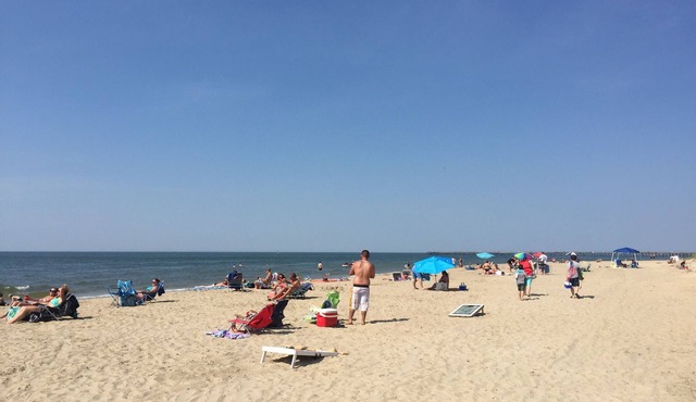 Beach Condo, Walk To The Beach