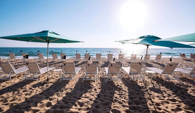 Beachfront Accommodation! 4 Garden View Units | Outdoor Pool w/ Ocean View in Palm Beach