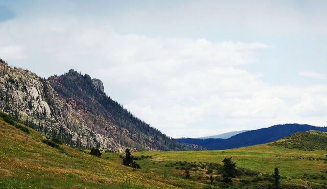 Beautiful Suite in the Colorado Mountains w/Gourmet Breakfast
