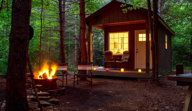 BIRD HOUSE - PET FRIENDLY! - OFF GRID - ROMANTIC WINE TRAIL CABIN - 4 Seasons