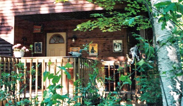 Cabin Surrounded by Sublime Nature near Lake Huron, Michigan