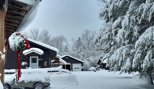 Cozy Cabin Getaway in the Adirondack Mountains in Blue Mountain Lake, New York