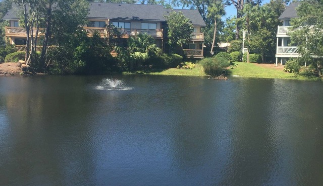 Cozy Condo! Minutes away from several shops and restaurants.