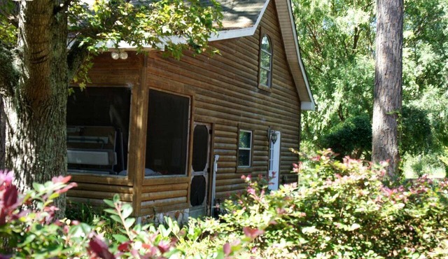 Delightful Vacation Cabin for Unique Getaway near Macon, Georgia