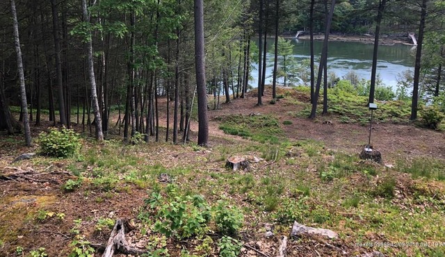 Dog-friendly riverfront home with private dock & gas grill