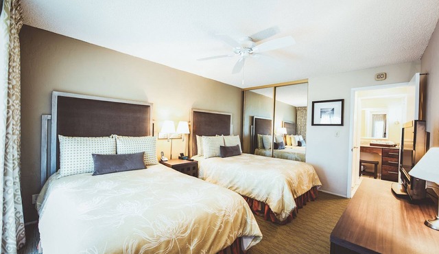 Family and Friends Vacation! Spacious Pool View Suite + Living Area and Kitchen