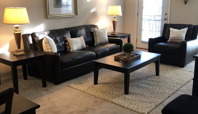 Fully - Furnished Corporate One Br/One Ba Apartment in the Alpharetta Area