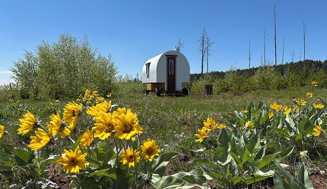 Hand-Crafted Sheep Wagon ~ Luxuriously Rustic ~ Private Meadow Site