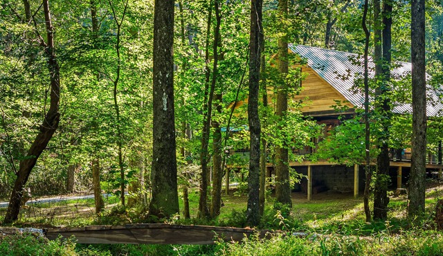 HIKING;Mentone;DeSoto Falls; Mentone; Lookout Mtn; Hot tub, No Pet Fee-1 pet-