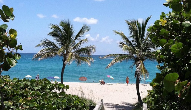 KOZY COTTAGE - NEW July openings 2.7 m from beach, UVC clean,