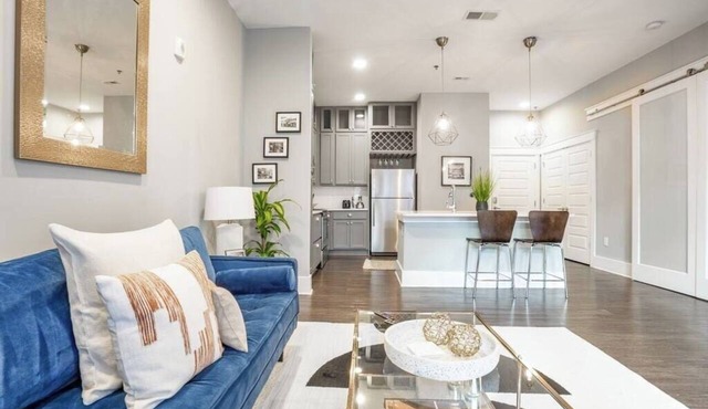 Luxury Apartment Near Emory Hospital & University