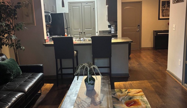 Luxury/Cozy 1-Bedroom Condo Retreat Dunwoody GA