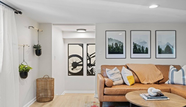 Modern 2 Bed 1 Bath Walking Distance to Downtown
