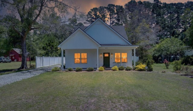 Napping Turtle a serene 4-bedroom +bonus room. with AC in charming Springfield