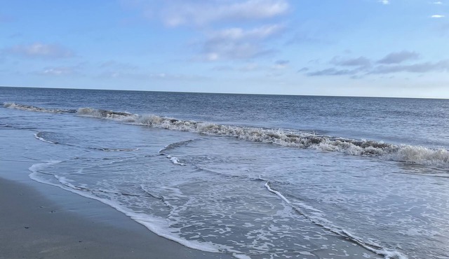 NEWLY RENOVATED Island Condo- All new kitchen, floors, upgrades and appliances
