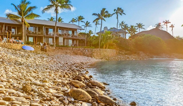 Oceanfront Maui Condo 3BR – Snorkeling with Turtles in Private Cove