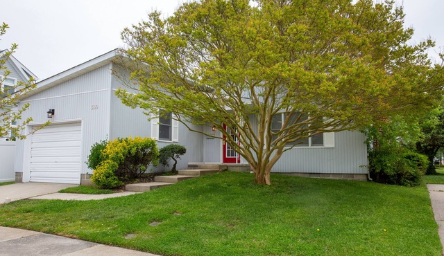 Pet Friendly Downtown Rehoboth Beach Rustic and Comfy Home