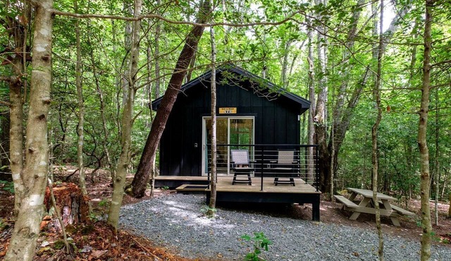 Pisgah Forest Retreat: Cozy Cabin Blending Comfort and Luxury for Glampers, NC