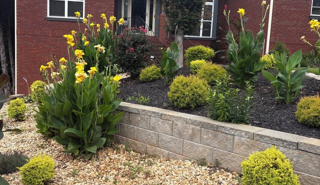 Rooms UPSTAIRS. Entire house is for your crew! 3 BR, 2 BA sleeps 7 + much more.