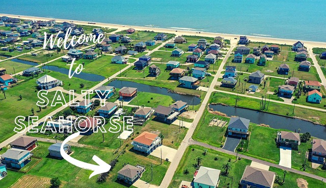 Salty Seahorse Studio, steps from the sand!