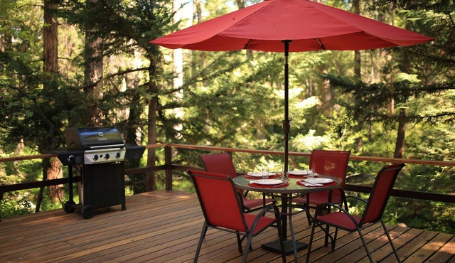 Secluded "Hidden Heaven" Vintage Cabin on Strawberry Creek, Walk to town