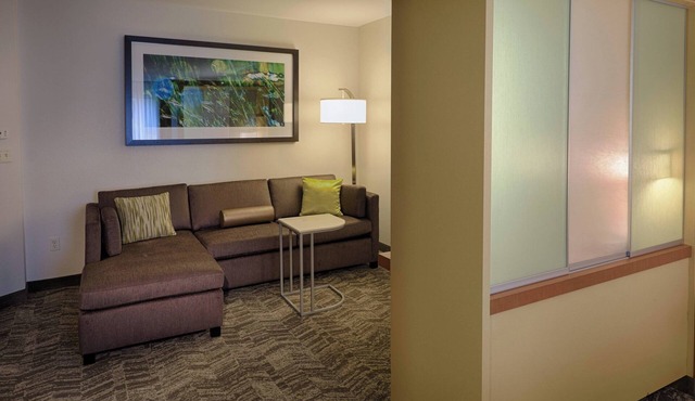 SpringHill Suites by Marriott Albany-Colonie