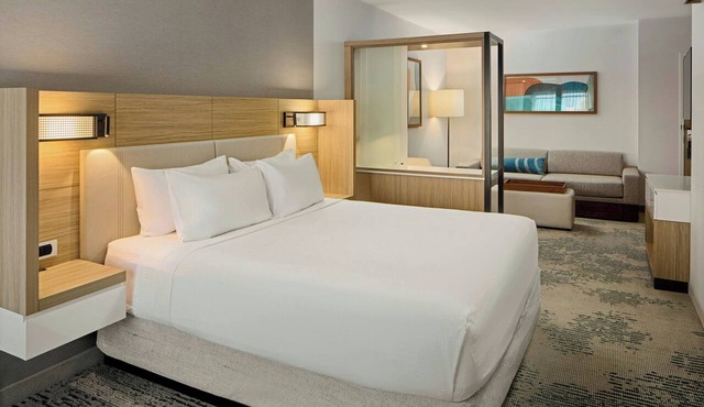 Springhill Suites By Marriott High Point Downtown