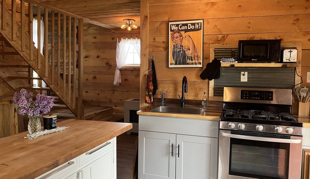 The Forge Cabin, A Charming and Spacious renovated cabin. Everyone loves it!